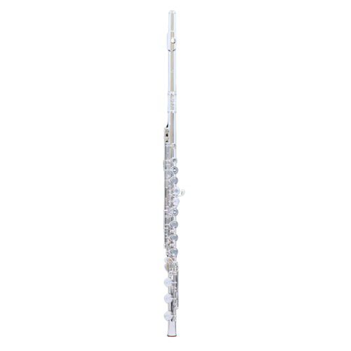 DiZhao DZ601BEF Flute Sterling Silver Headjoint, Silver Plated Body/Foot, Open Hole, B Foot, Offset G, Split E, Pointed Arms