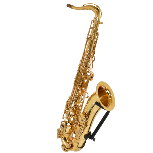 ISS2733 Selmer 2009 Reference 54 Tenor Sax