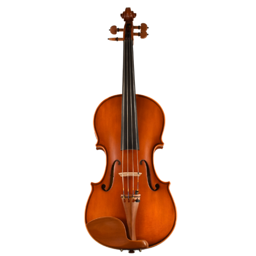 Eastman VA200ST 14" Viola Outfit